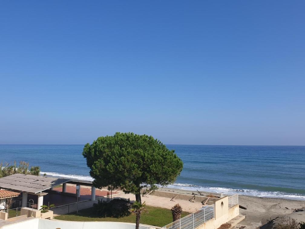 Appartement T2 Bord De Mer - Maria Beach Santa-Lucia-di-Moriani Esterno foto